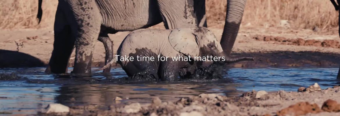 Timeless Africa Safaris 2022 Walking Safari — African Safari